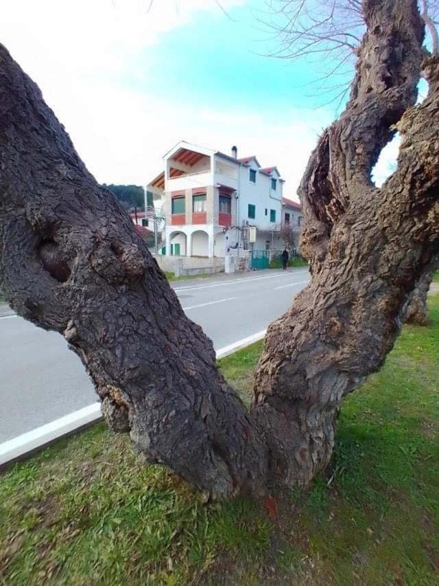 Apartments Pulic Skradin Εξωτερικό φωτογραφία