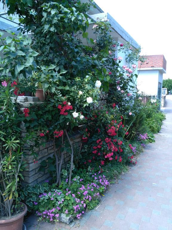 Apartments Pulic Skradin Εξωτερικό φωτογραφία
